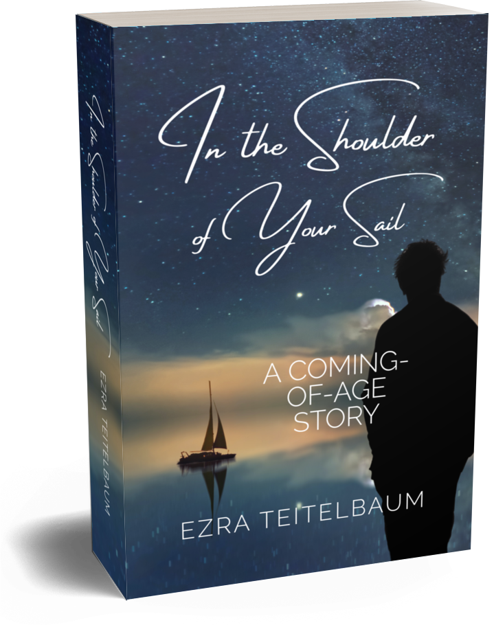 Image of In the Shoulder of Your Sail book